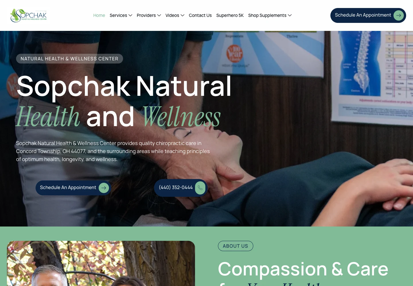Sopchak Natural Health & Wellness homepage preview